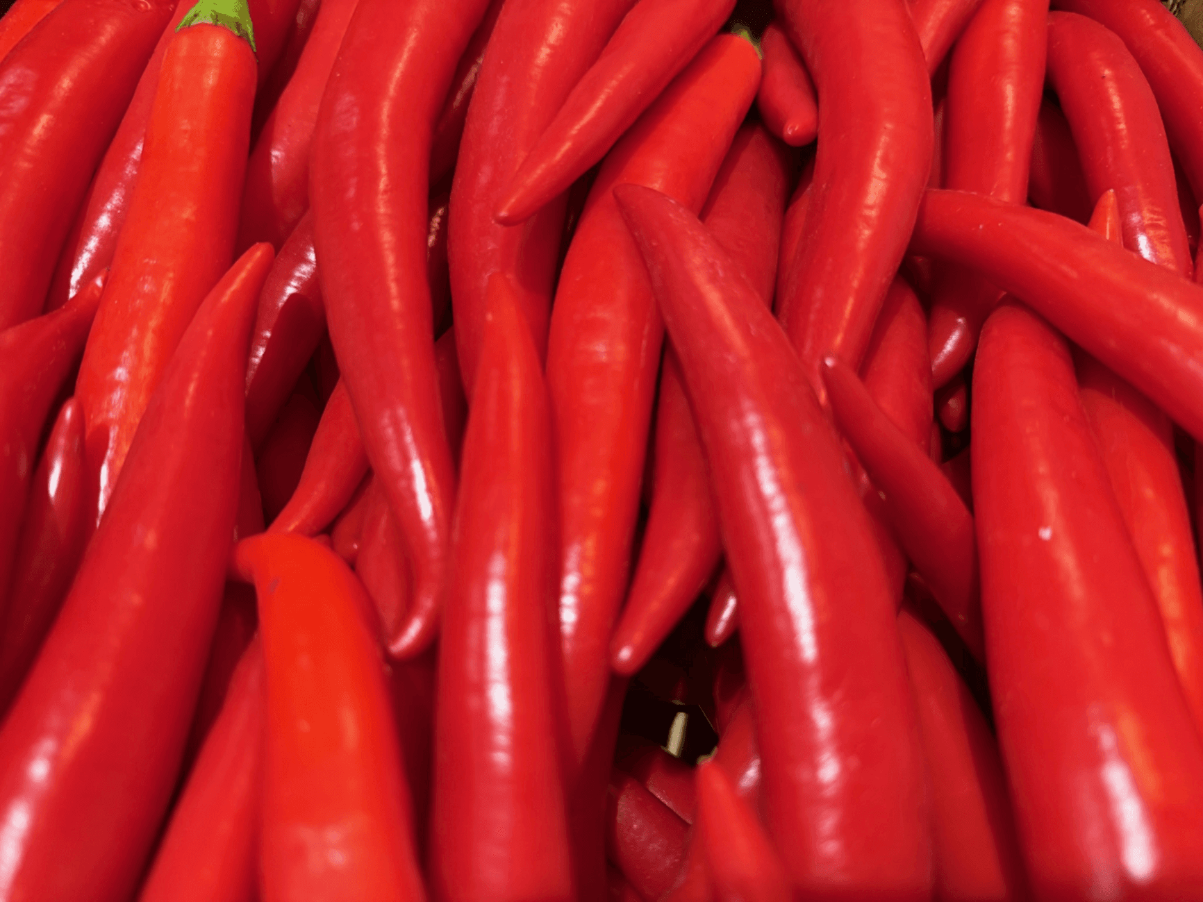 KinKhao Cafe Interior